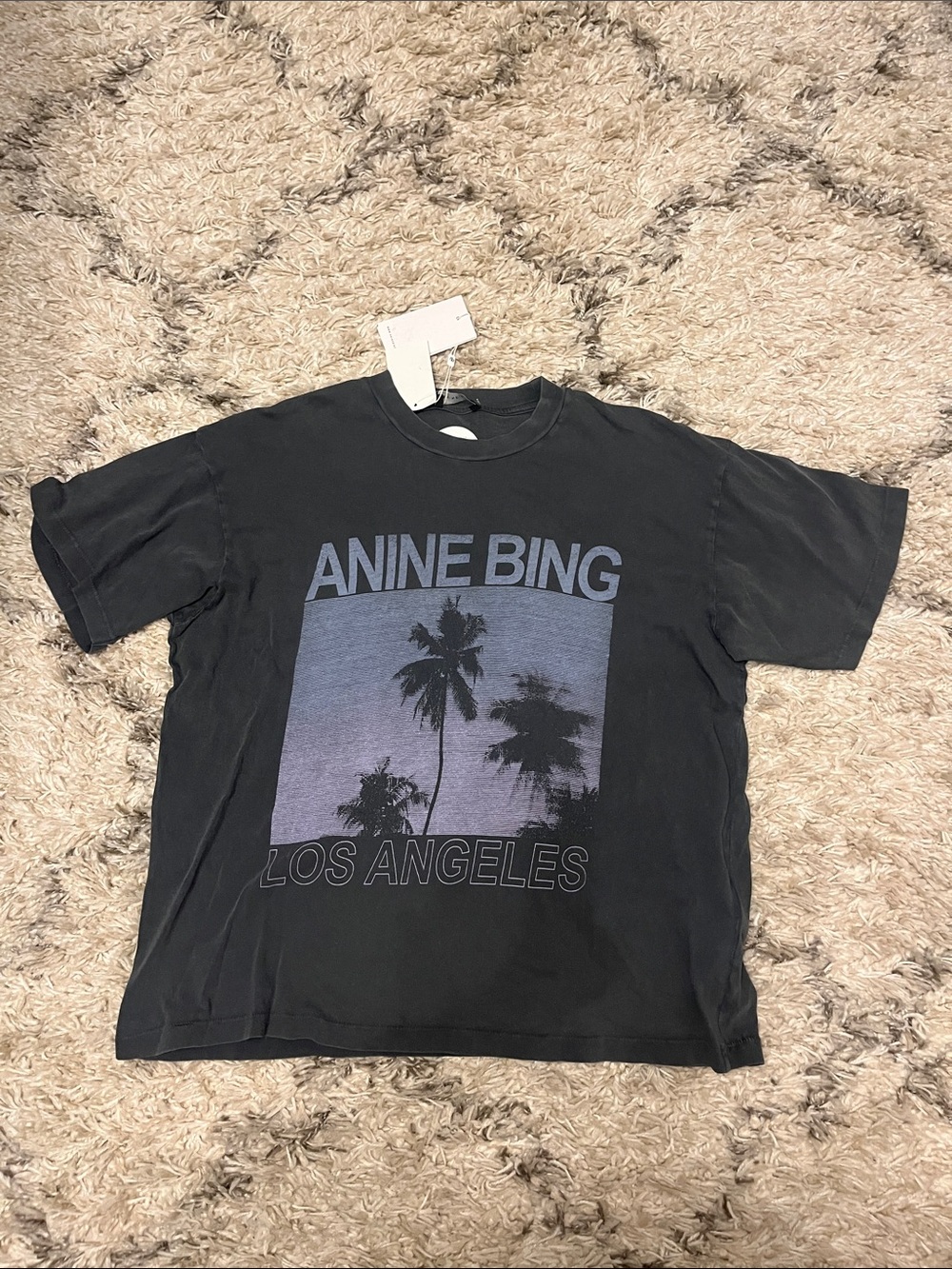Anine Bing Cade Palms Tee. Size xs. Washed black. Gray. New.